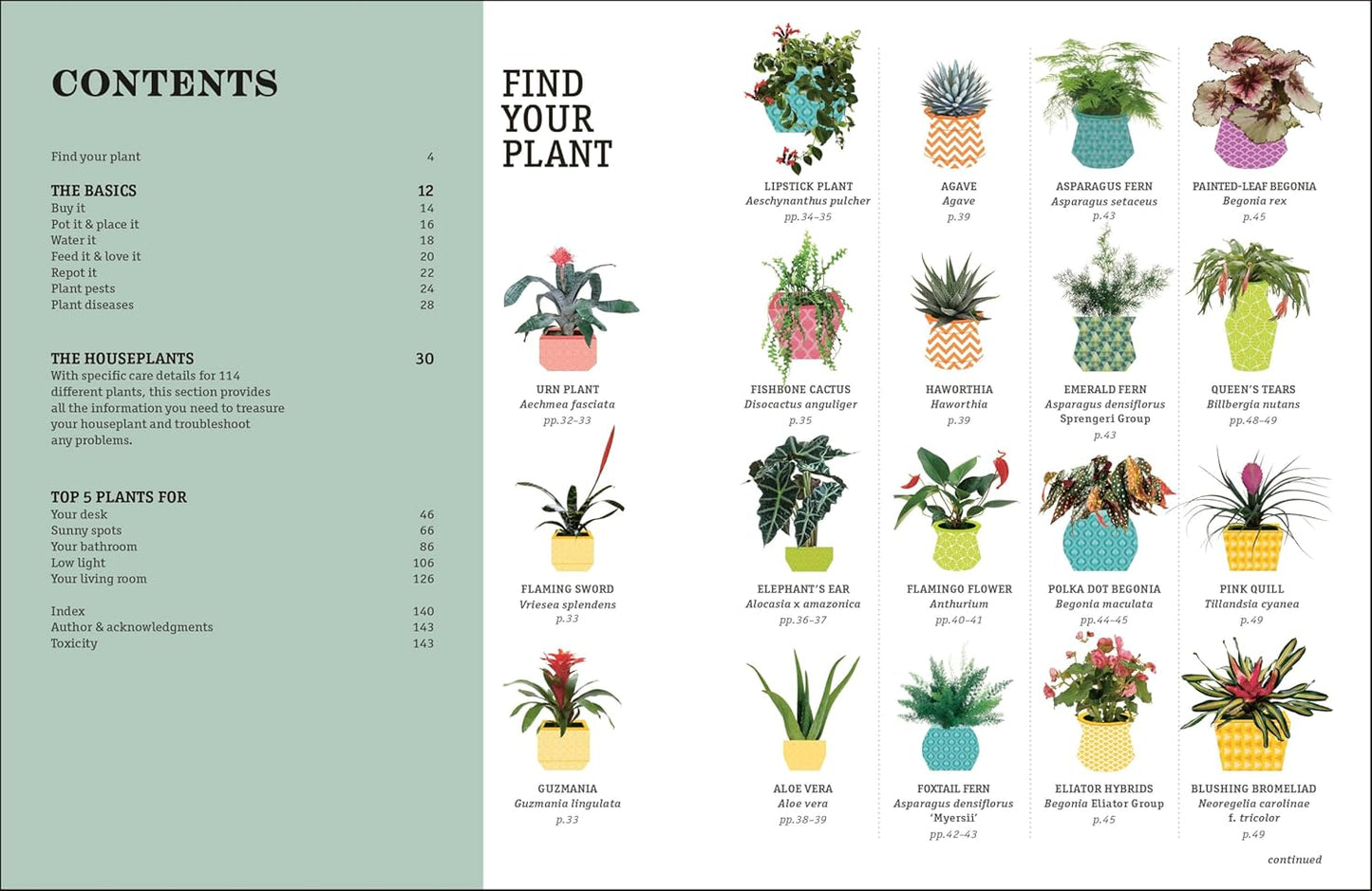 How Not to Kill Your Houseplant New Edition: Survival Tips for the Horticulturally Challenged: Survival Tips for the Horticulturally Challenged
