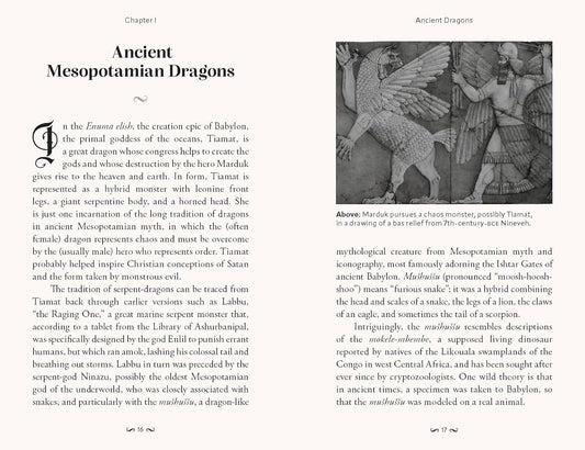 Pocket Book of Dragons: Myth, Magic & Meaning