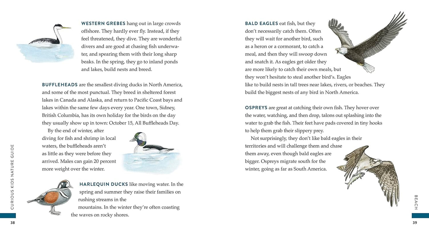 Curious Kids Nature Guide: Explore the Amazing Outdoors of the Pacific Northwest: Explore the Amazing Outdoors of the Pacific Northwest
