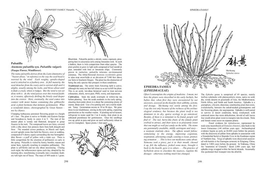 Growing Plant Medicine: Vol 1 by Richo Cech