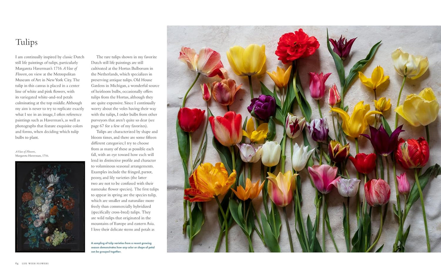 Life with Flowers: Inspiration and Lessons from the Garden: Inspiration and Lessons from the Garden