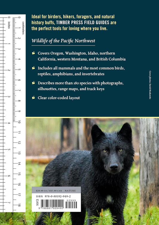 Wildlife of the Pacific Northwest: Tracking and Identifying Mammals, Birds, Reptiles, Amphibians, and Invertebrates: Tracking and Identifying Mammals, Birds, Reptiles, Amphibians, and Invertebrates