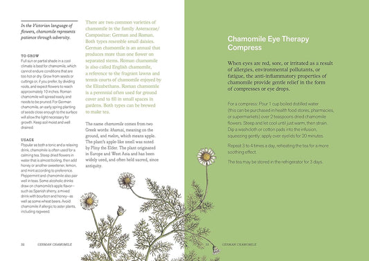Herbal Handbook: 50 Profiles in Words and Art from the Rare Book Collections of the New York Botanical Garden: 50 Profiles in Words and Art from the Rare Book Collections of the New York Botanical Garden