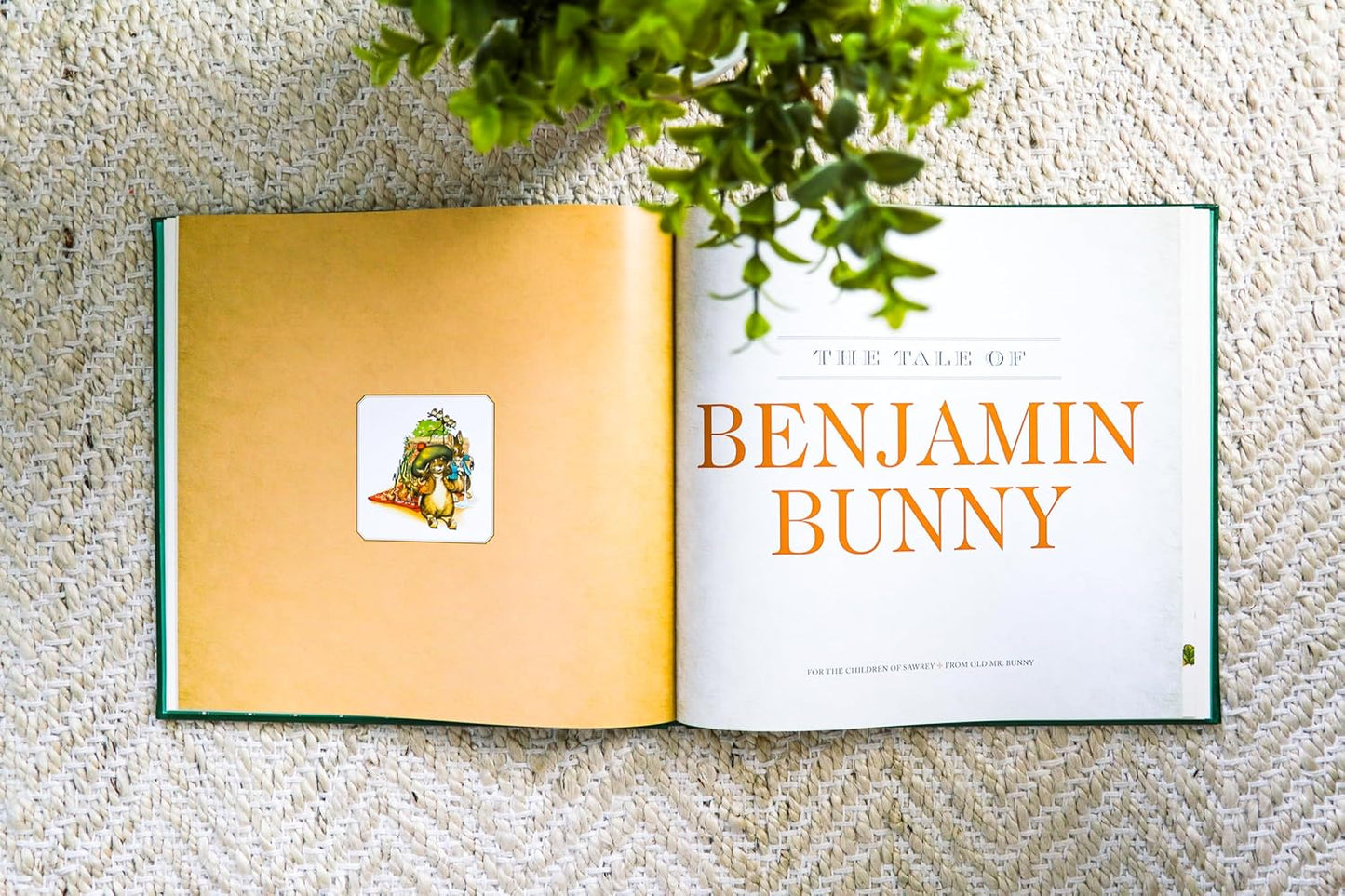 The Classic Tale of Peter Rabbit: The Collectible Leather Edition