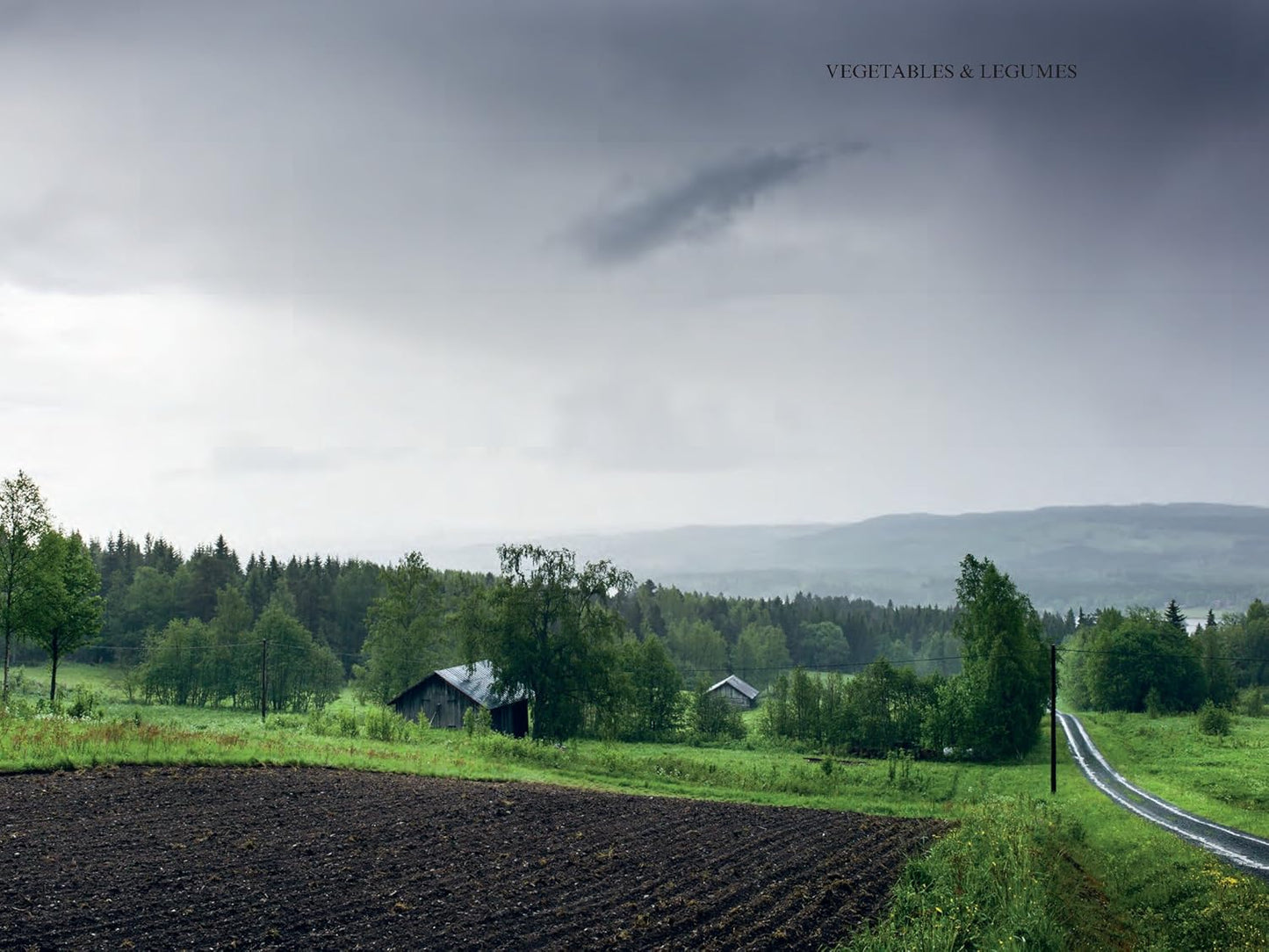 The Nordic Cookbook by Magnus Nilsson