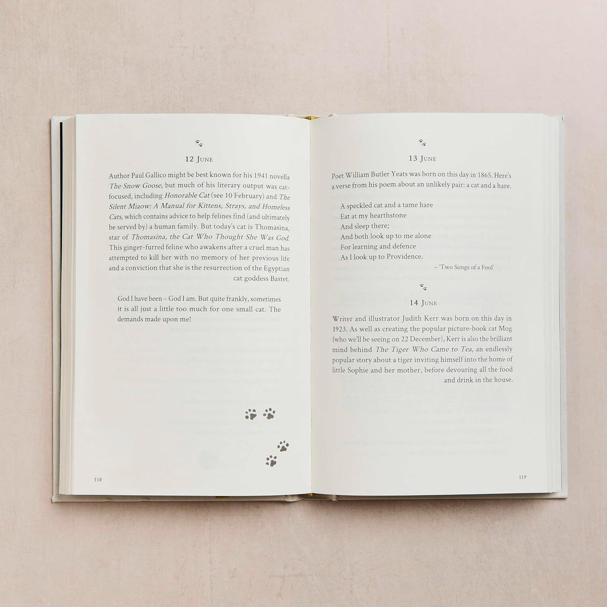 A Literary Cat for Every Day of the Year: A Mischievous Miscellany of Cats and Felines in Fiction