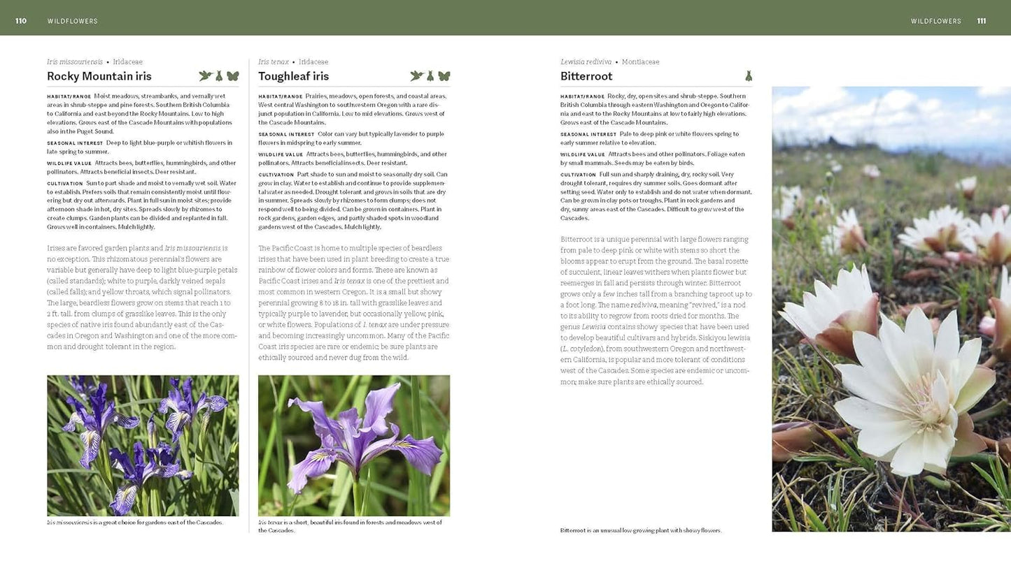 The Pacific Northwest Native Plant Primer: 225 Plants for an Earth-Friendly Garden: 225 Plants for an Earth-Friendly Garden