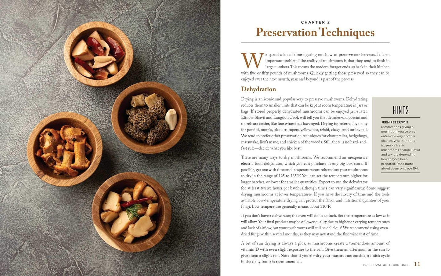 Wild Mushrooms: A Cookbook and Foraging Guide by Kristen & Trent Blizzard