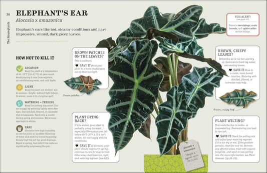 How Not to Kill Your Houseplant New Edition: Survival Tips for the Horticulturally Challenged: Survival Tips for the Horticulturally Challenged