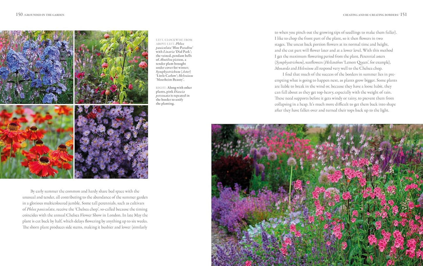 Grounded in the Garden: An Artist's Guide to Creating a Beautiful Garden in Harmony with Nature by Tj Maher