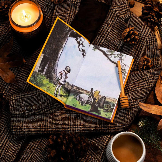 The House at Pooh Corner