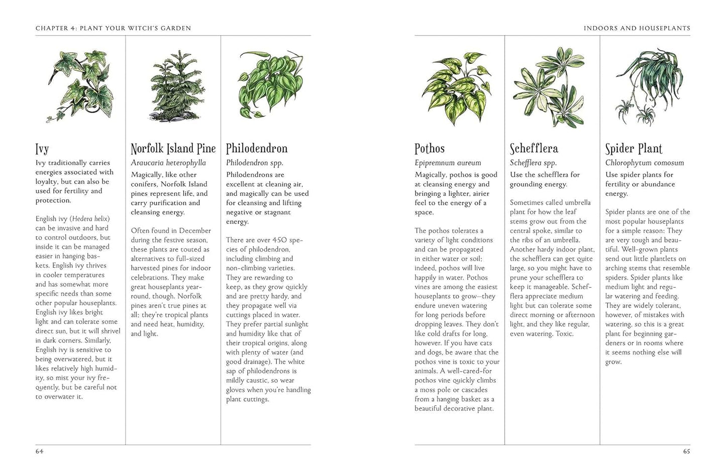 The Green Witch's Garden: Your Complete Guide to Creating and Cultivating a Magical Garden Space: Your Complete Guide to Creating and Cultivating a Magical Garden Space