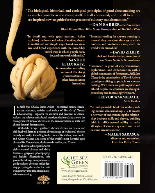 Milk Into Cheese: The Foundations of Natural Cheesemaking Using Traditional Concepts, Tools, and Techniques