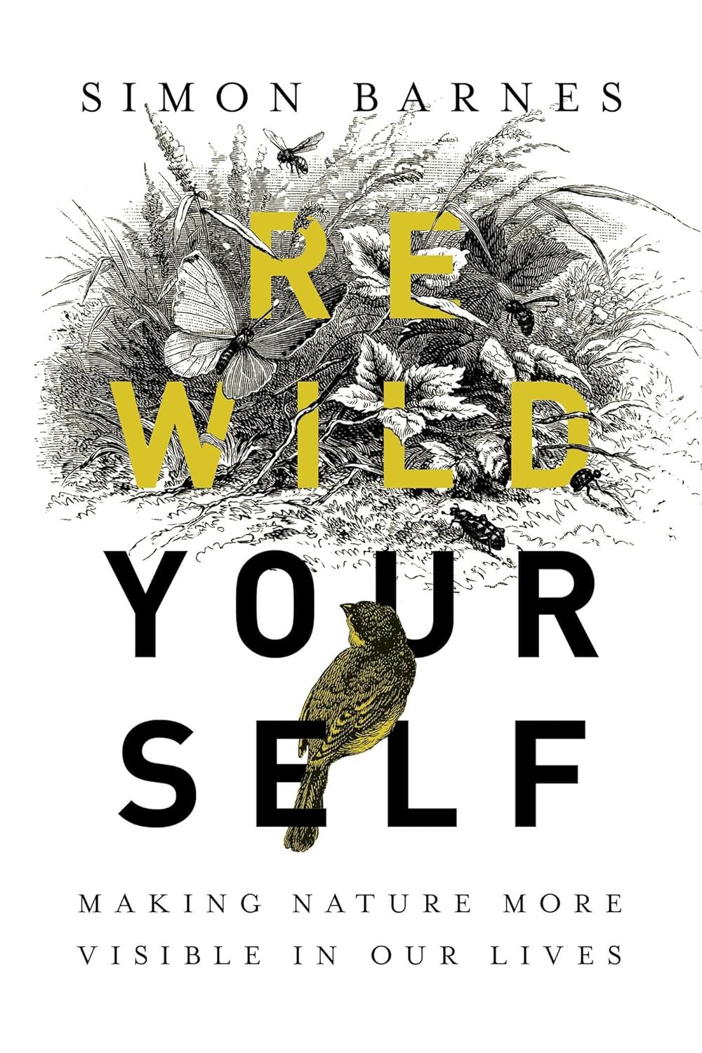 Rewild Yourself: Making Nature More Visible in Our Lives