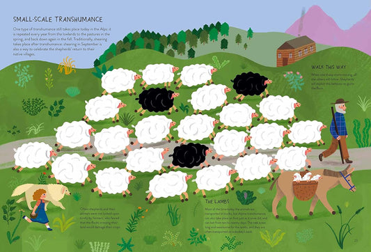 Sheepology: The Ultimate Encyclopedia: The Ultimate Encyclopedia