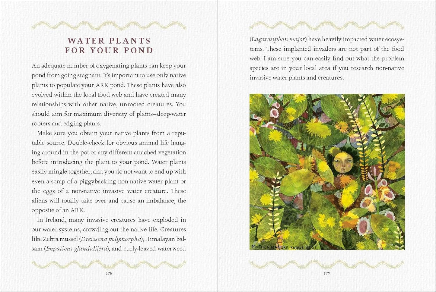 We Are the Ark: Returning Our Gardens to Their True Nature Through Acts of Restorative Kindness by Mary Reynolds