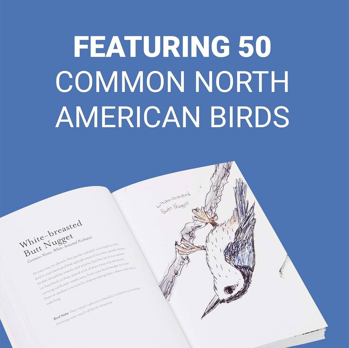 The Field Guide to Dumb Birds of North America by Matt Kracht
