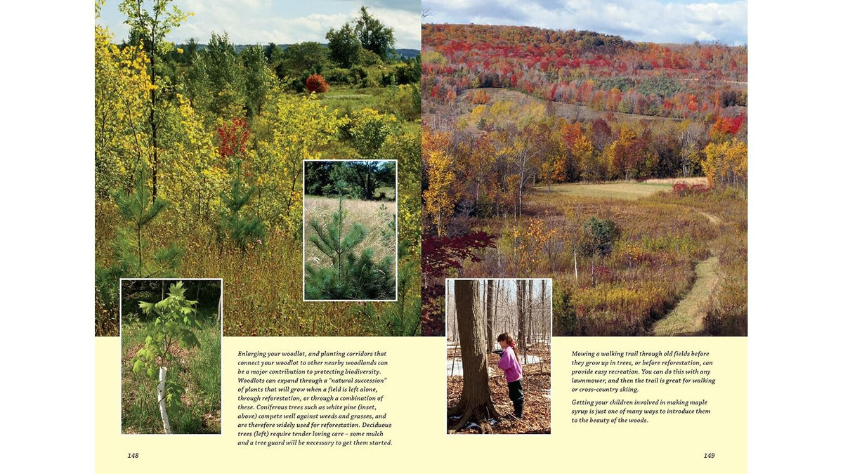 The Woodlot Management Handbook: Making the Most of Your Wooded Property for Conservation, Income or Both (Revised, Expanded)
