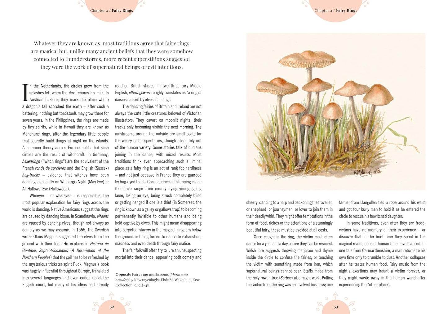 The Magic of Mushrooms: Fungi in Folklore, Superstition and Traditional Medicine: Fungi in Folklore, Superstition and Traditional Medicine
