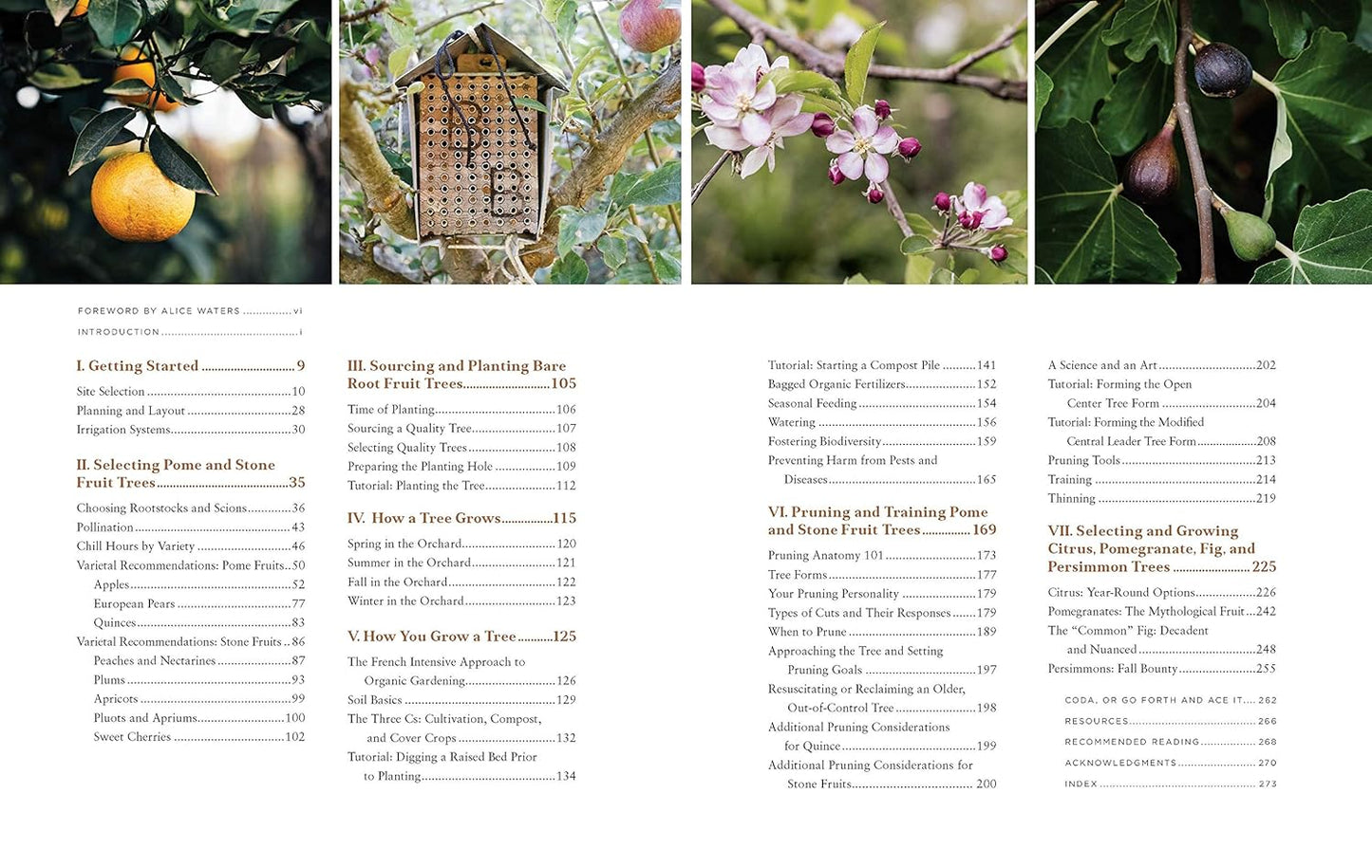 Fruit Trees for Every Garden: An Organic Approach to Growing Apples, Pears, Peaches, Plums, Citrus, and More: An Organic Approach to Growing Apples, Pears, Peaches, Plums, Citrus, and More