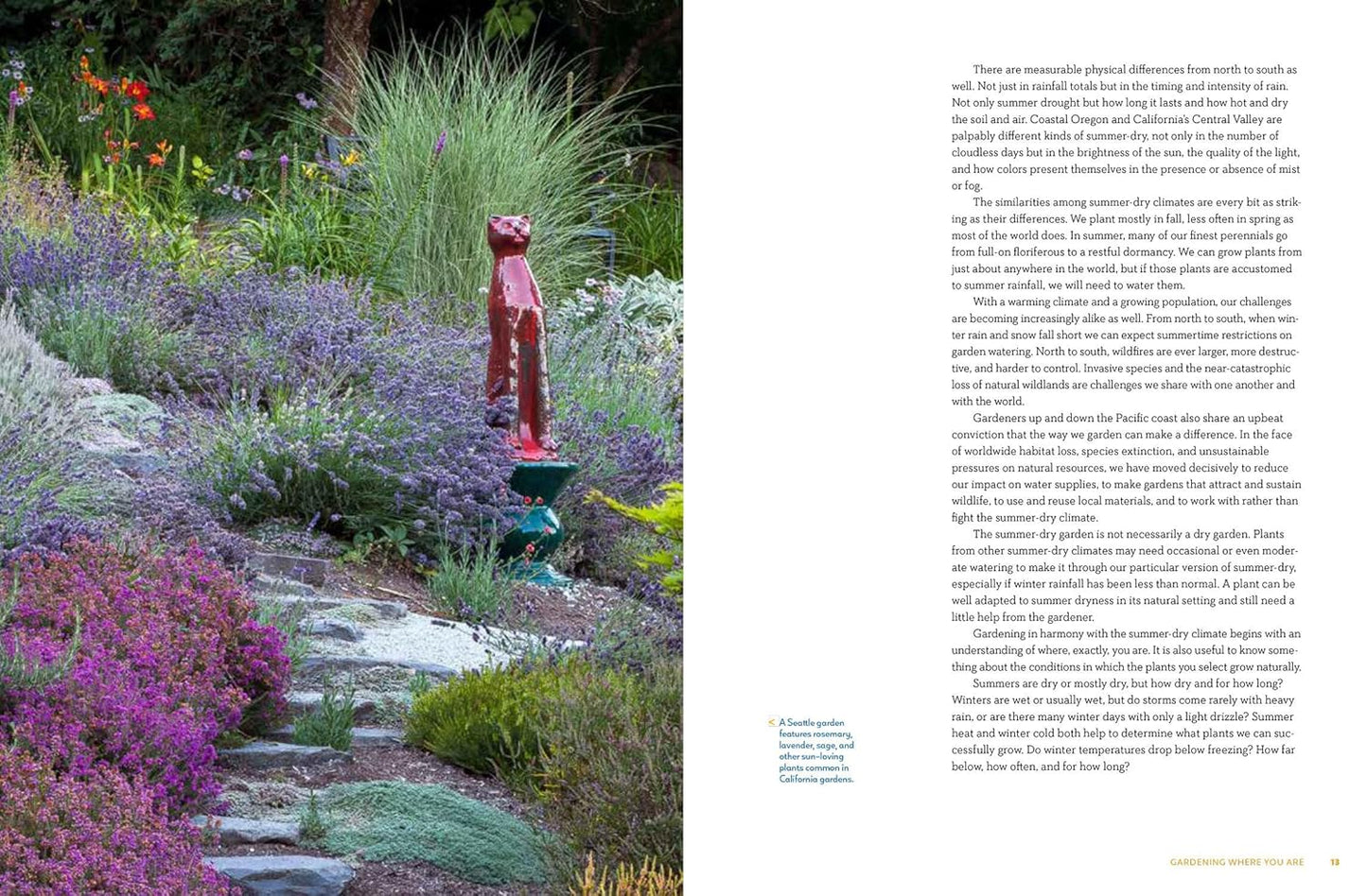 Gardening in Summer-Dry Climates: Plants for a Lush, Water-Conscious Landscape: Plants for a Lush, Water-Conscious Landscape