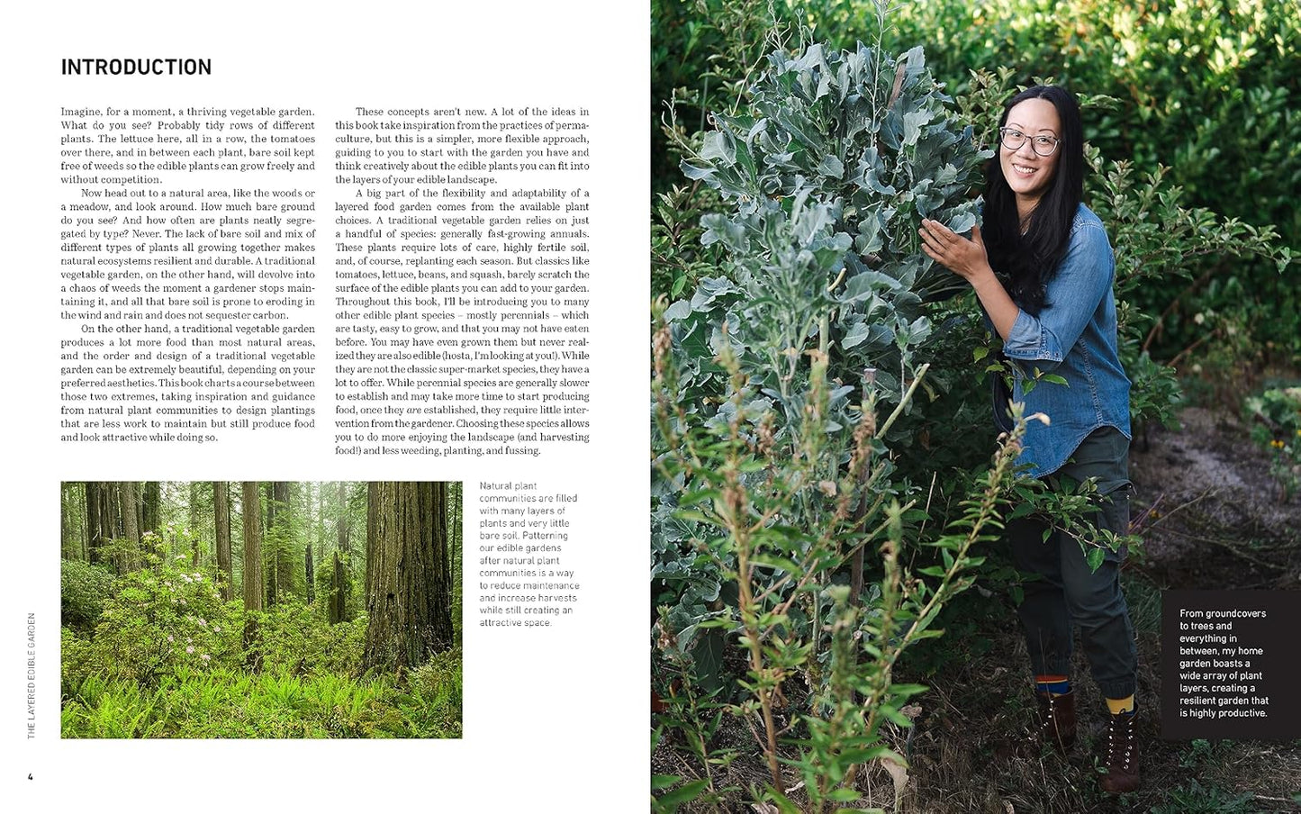 The Layered Edible Garden: A Beginner's Guide to Creating a Productive Food Garden Layer by Layer - From Ground Covers to Trees and Everything in Between