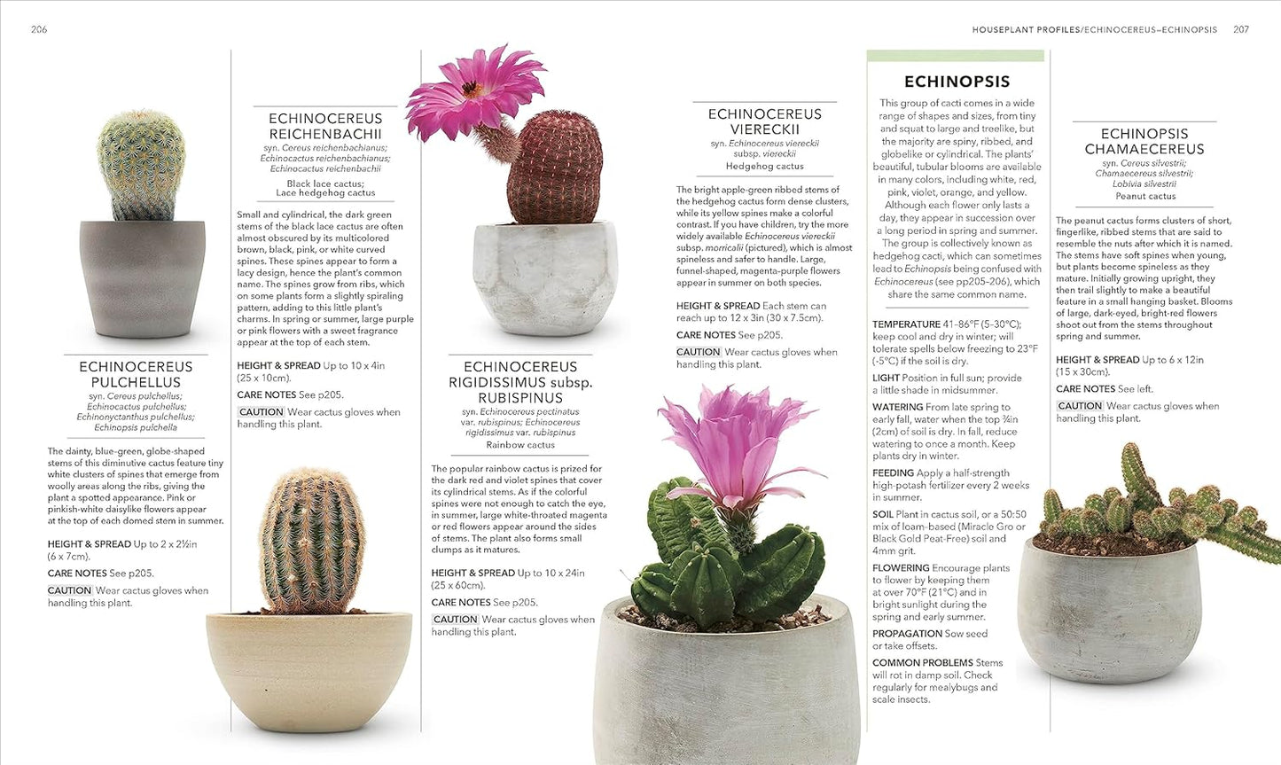 Houseplant: Practical Advice for All Houseplants, Cacti, and Succulents by Fran Bailey & Zia Allaway