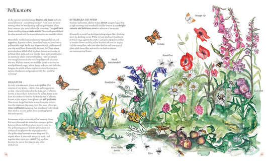 Wilding: How to Bring Wildlife Back - The New Illustrated Guide