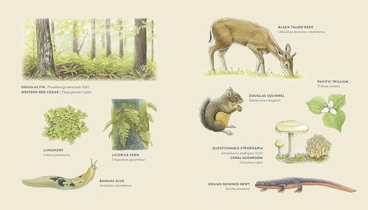 Curious Kids Nature Guide: Explore the Amazing Outdoors of the Pacific Northwest: Explore the Amazing Outdoors of the Pacific Northwest