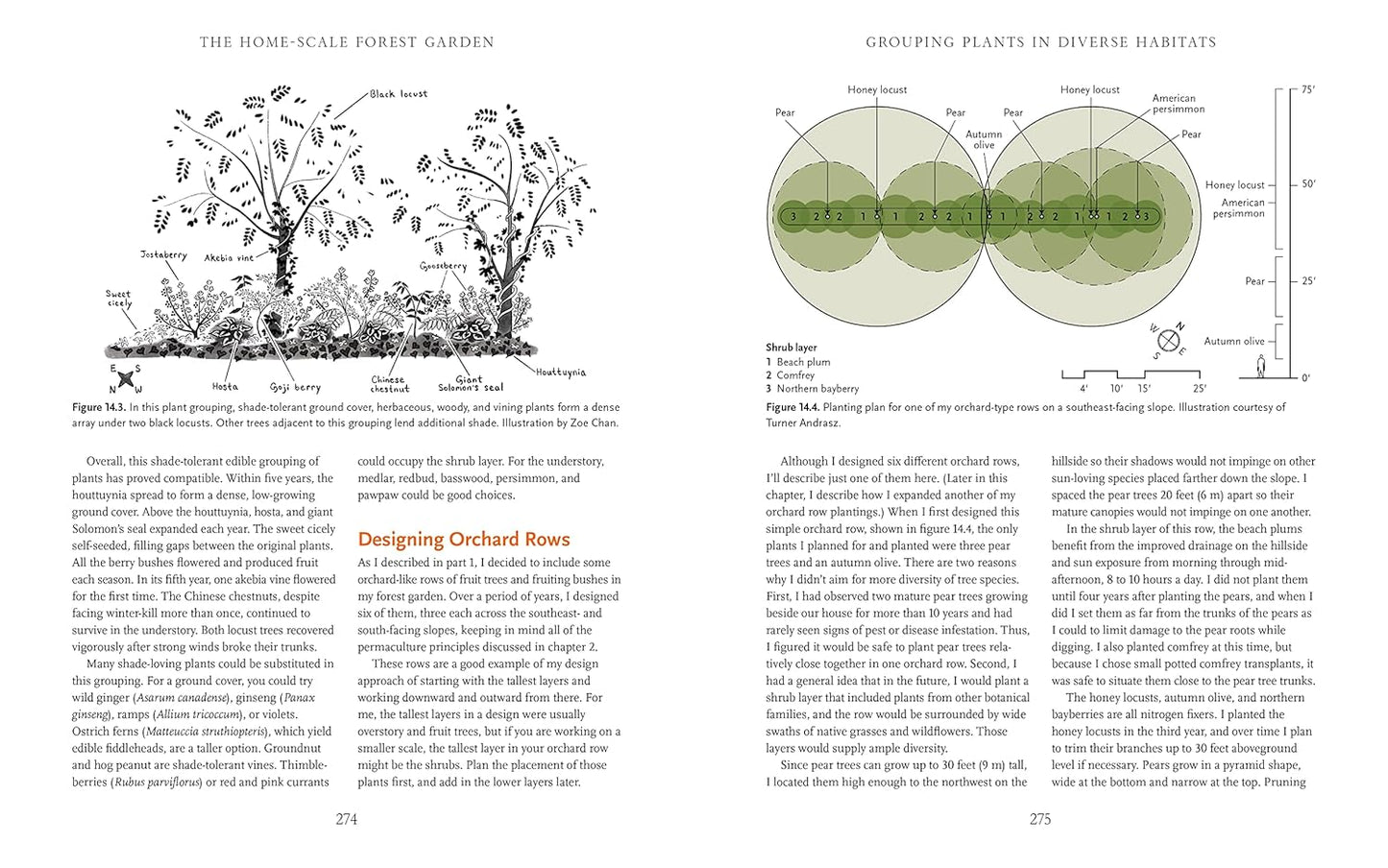 The Home-Scale Forest Garden: How to Plan, Plant, and Tend a Resilient Edible Landscape by Dani Baker