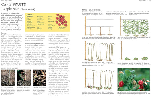 Illustrated Practical Encyclopedia of Pruning, Training and Topiary: How to Prune and Train Trees, Shrubs, Hedges, Topiary, Tree and Soft Fruit, Climb
