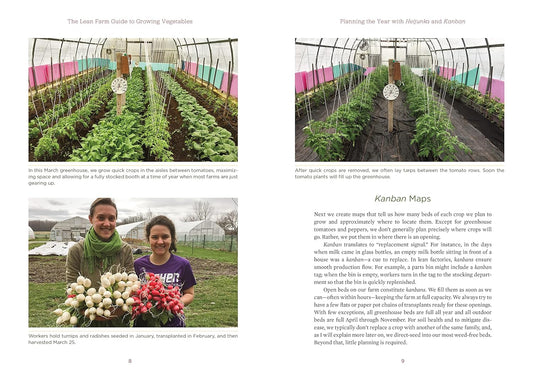 The Lean Farm Guide to Growing Vegetables: More In-Depth Lean Techniques for Efficient Organic Production: More In-Depth Lean Techniques for Efficient Organic Production