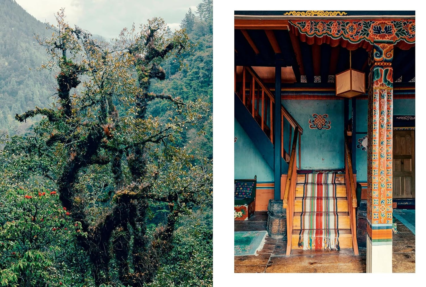 Kinfolk Wilderness by John Burns