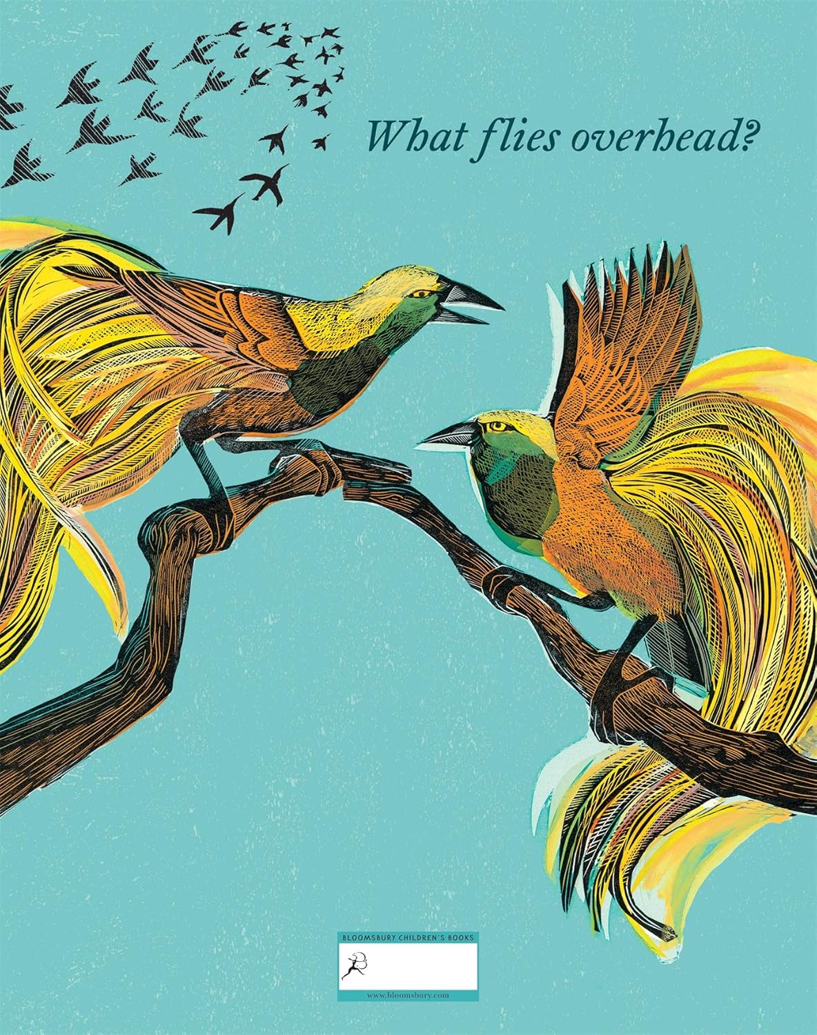 Birds: Explore Their Extraordinary World