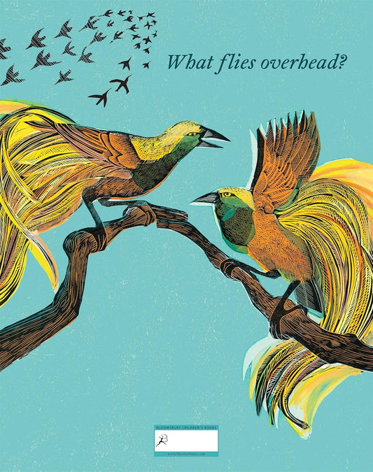 Birds: Explore Their Extraordinary World
