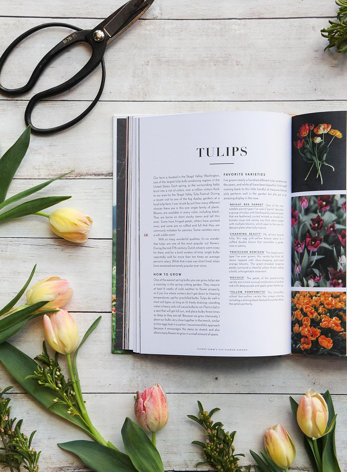 Floret Farm's Cut Flower Garden: Grow, Harvest, and Arrange Stunning Seasonal Blooms: Grow, Harvest, and Arrange Stunning Seasonal Blooms