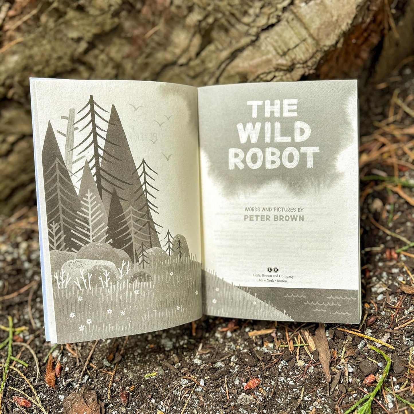 The Wild Robot: Volume 1: Volume 1