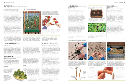 Propagating Plants: How to Grow Plants for Free: How to Grow Plants for Free