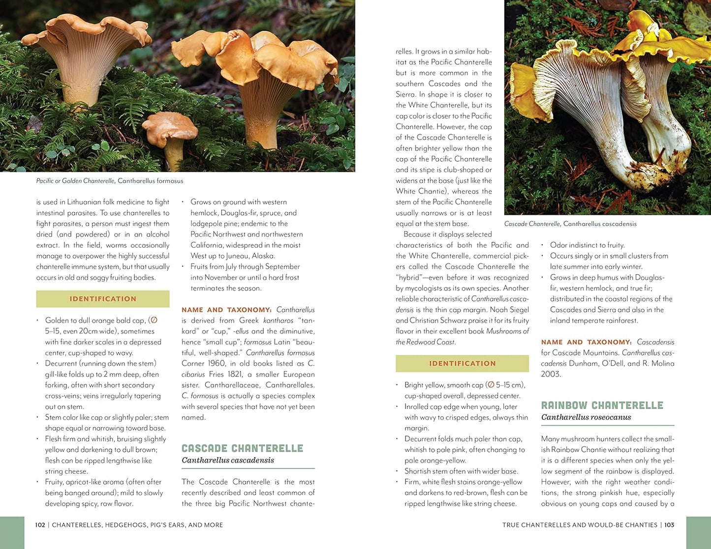Fruits of the Forest: A Field Guide to Pacific Northwest Edible Mushrooms: A Field Guide to Pacific Northwest Edible Mushrooms
