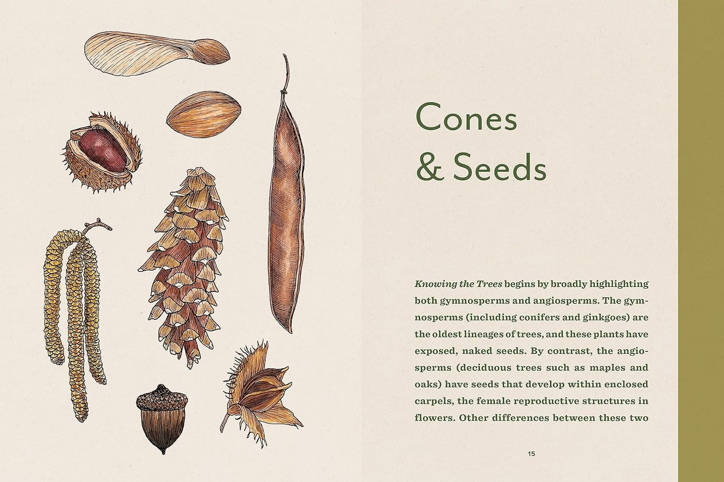 Knowing the Trees: Discover the Forest from Seed to Snag: Discover the Forest from Seed to Snag