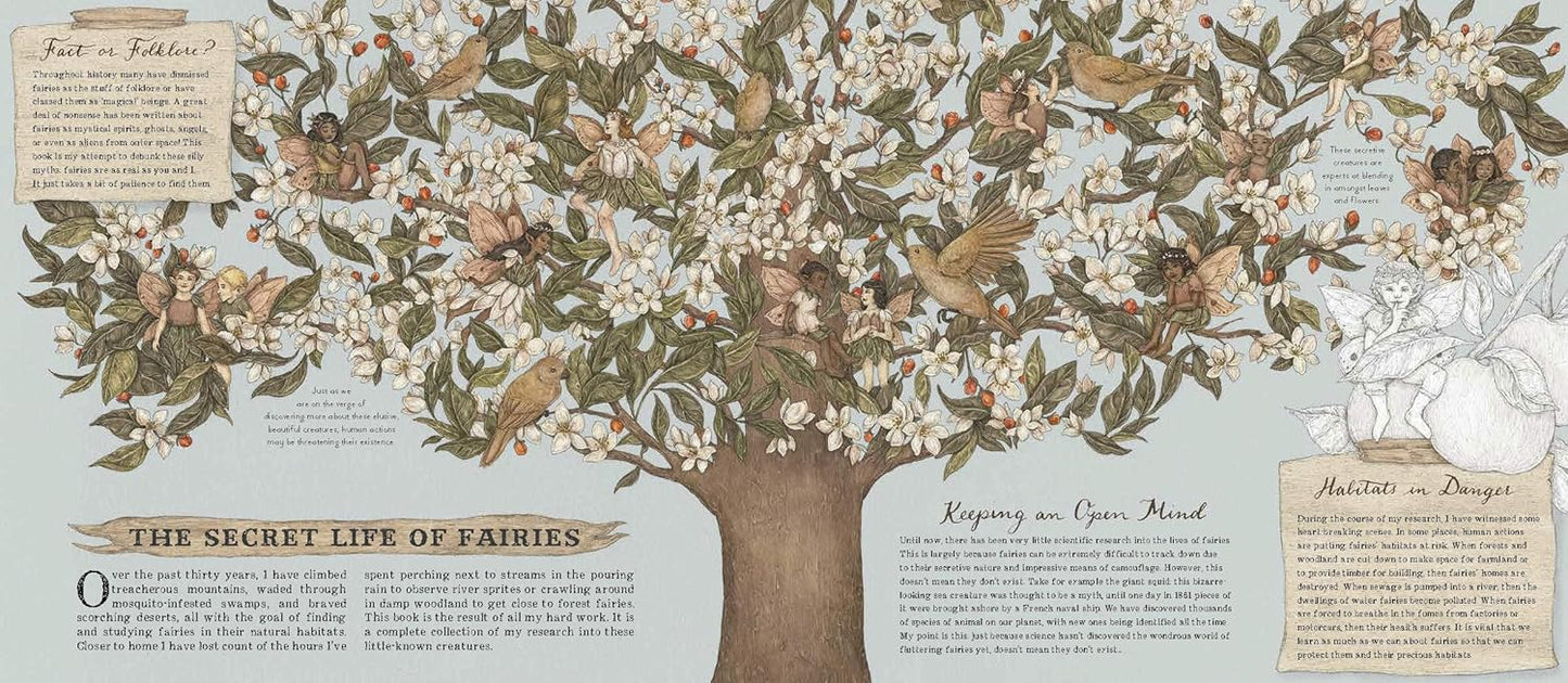 A Natural History of Fairies by Emily Hawkins