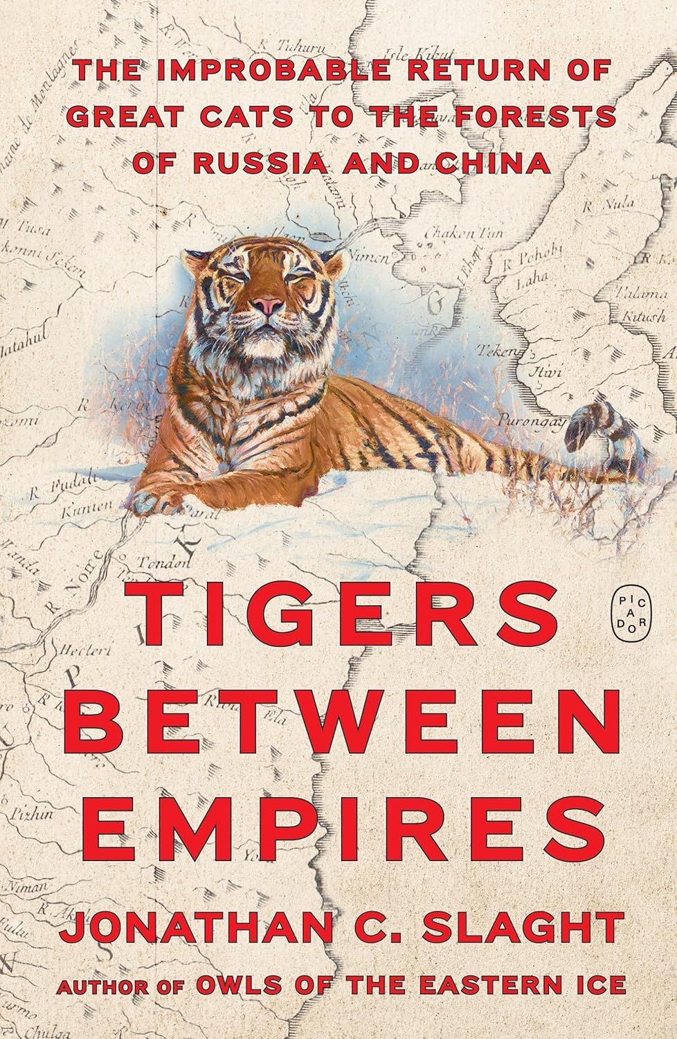 Tigers Between Empires: The Improbable Return of Great Cats to the Forests of Russia and China: The Improbable Return of Great Cats to the Forests of Russia and China