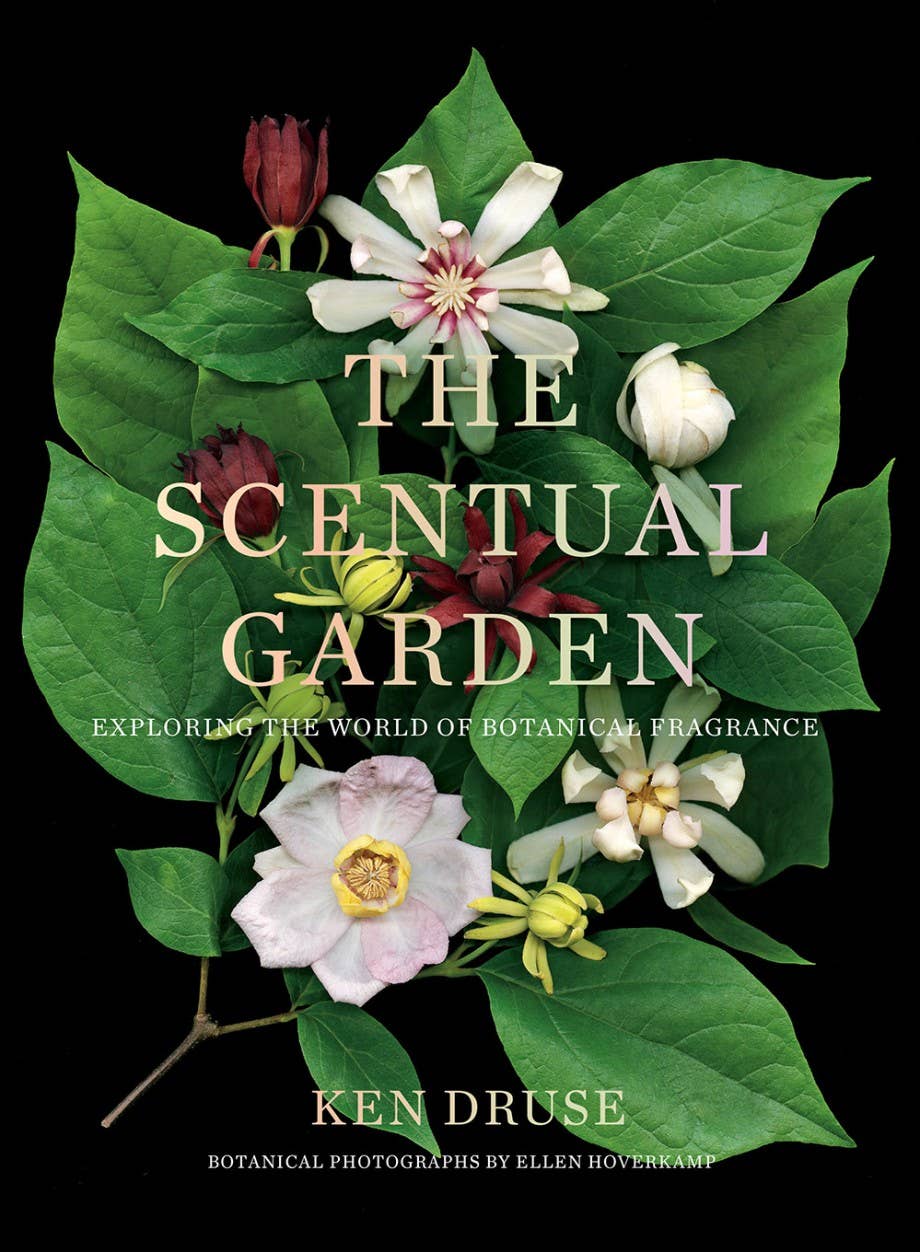 The Scentual Garden: Exploring the World of Botanical Fragrance by Kenneth Druse
