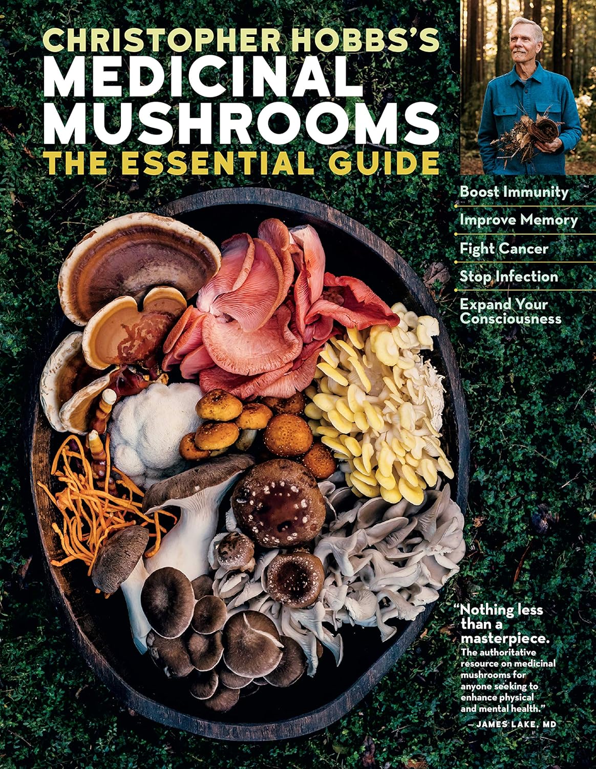 Christopher Hobbs' Medicinal Mushrooms: The Essential Guide by Christopher Hobbs