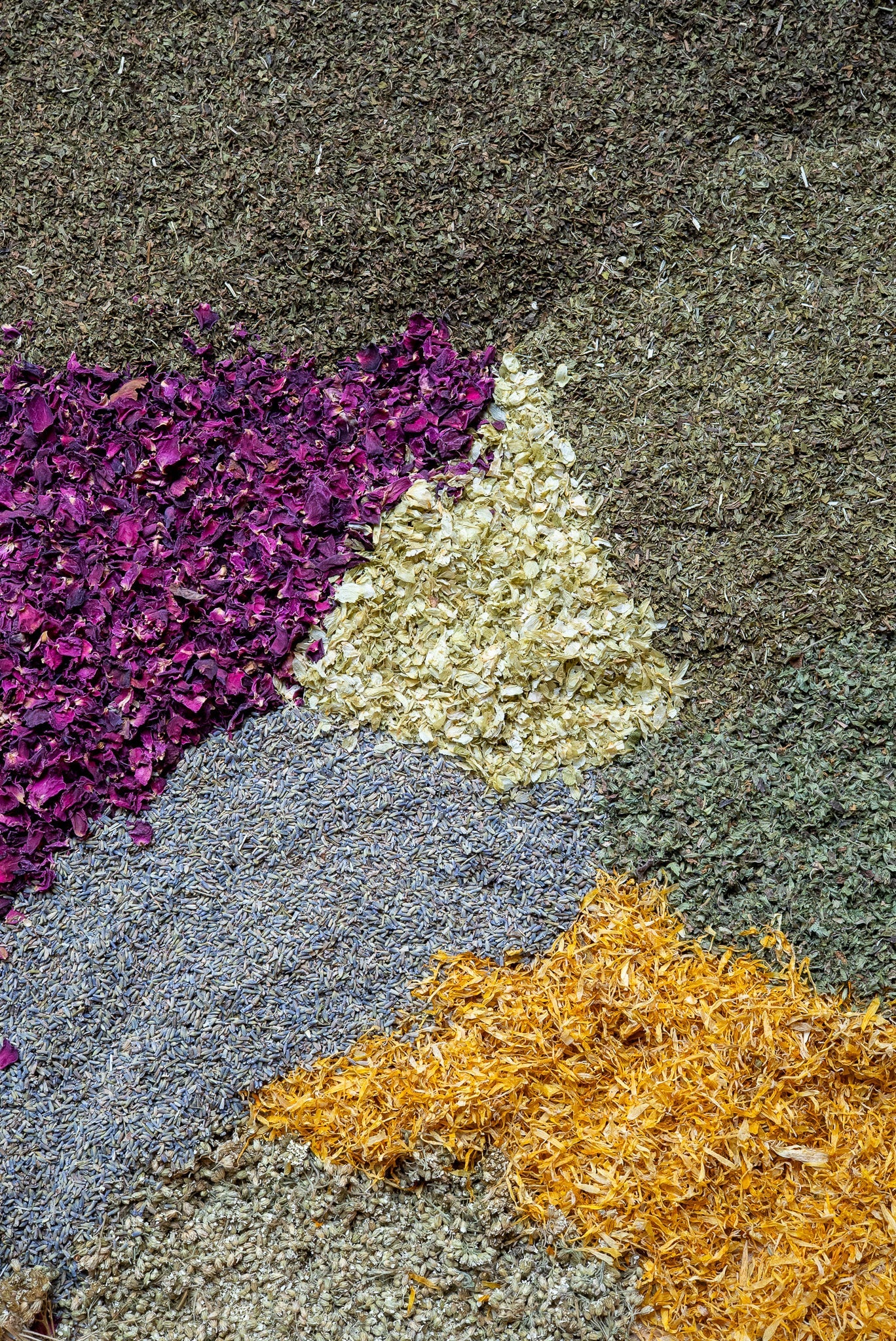 The Heroine - Wild Coast Brew Loose Leaf Tea