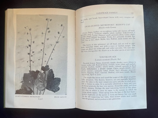 Wild Flowers of the Pacific Coast by Leslie L. Haskin (1934 edition)