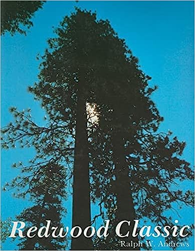 Redwood Classic by Ralph W. Andrews