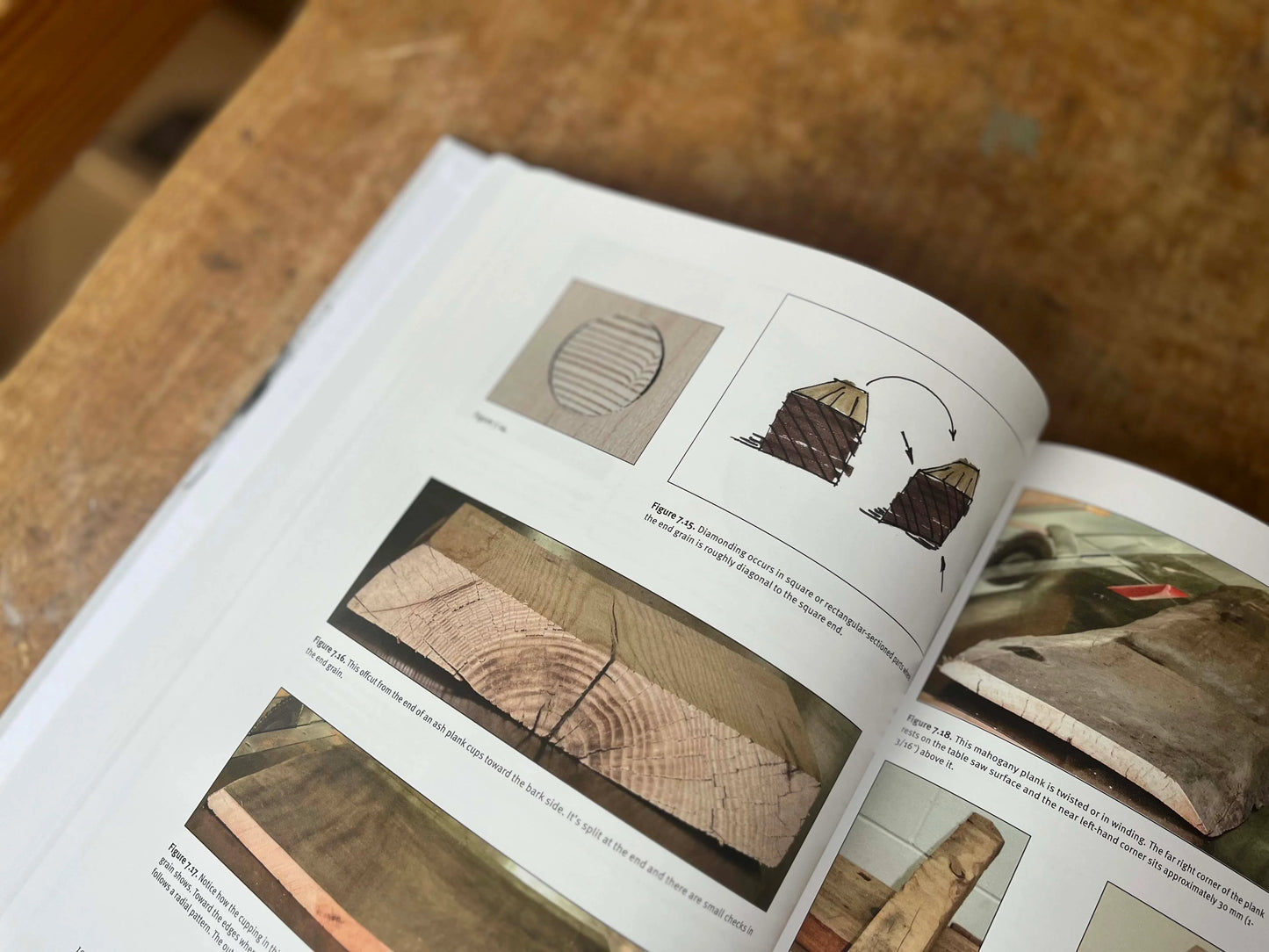 Cut & Dried: A Woodworker's Guide to Timber Technology By Richard Jones