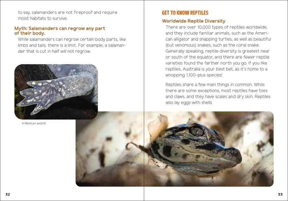 Reptiles & Amphibians for Kids: An Introduction to Herpetology (Turtles, Snakes, Frogs, Toads & More)