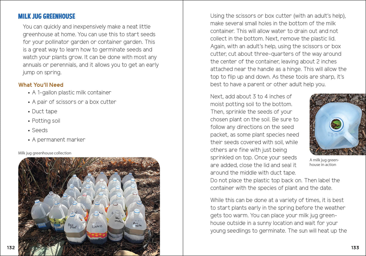 Pollinators & Native Plants for Kids: An Introduction to Botany by Jaret C. Daniels